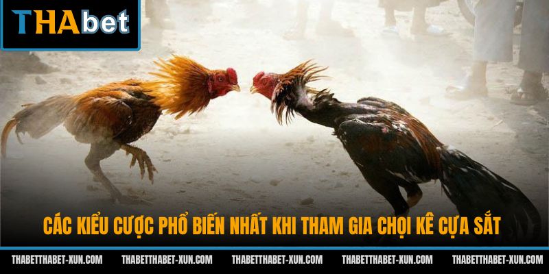 Các kiểu cược phổ biến nhất khi tham gia chọi kê cựa sắt