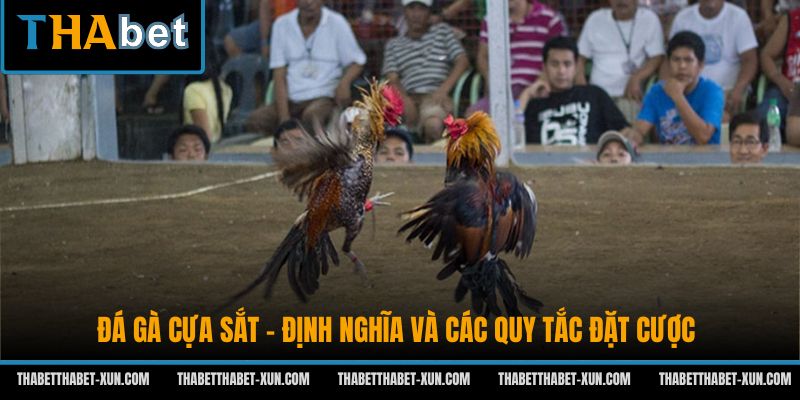 Đá Gà Cựa Sắt - Định Nghĩa Và Các Quy Tắc Đặt Cược
