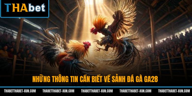 Những thông tin cần biết về sảnh đá gà GA28
