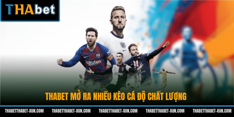 Thabet mở ra nhiều kèo cá độ chất lượng