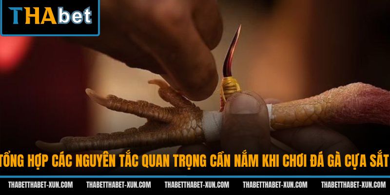 Tổng hợp các nguyên tắc quan trọng cần nắm khi chơi đá gà cựa sắt