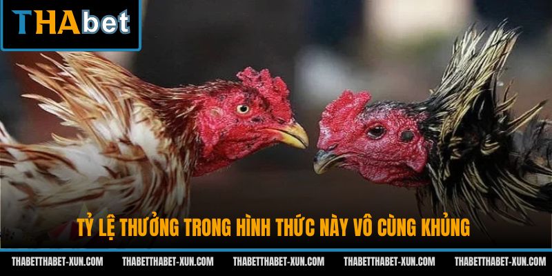 Tỷ lệ thưởng trong hình thức này vô cùng khủng